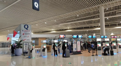 阳光保险代理有限公司北京分公司：深耕